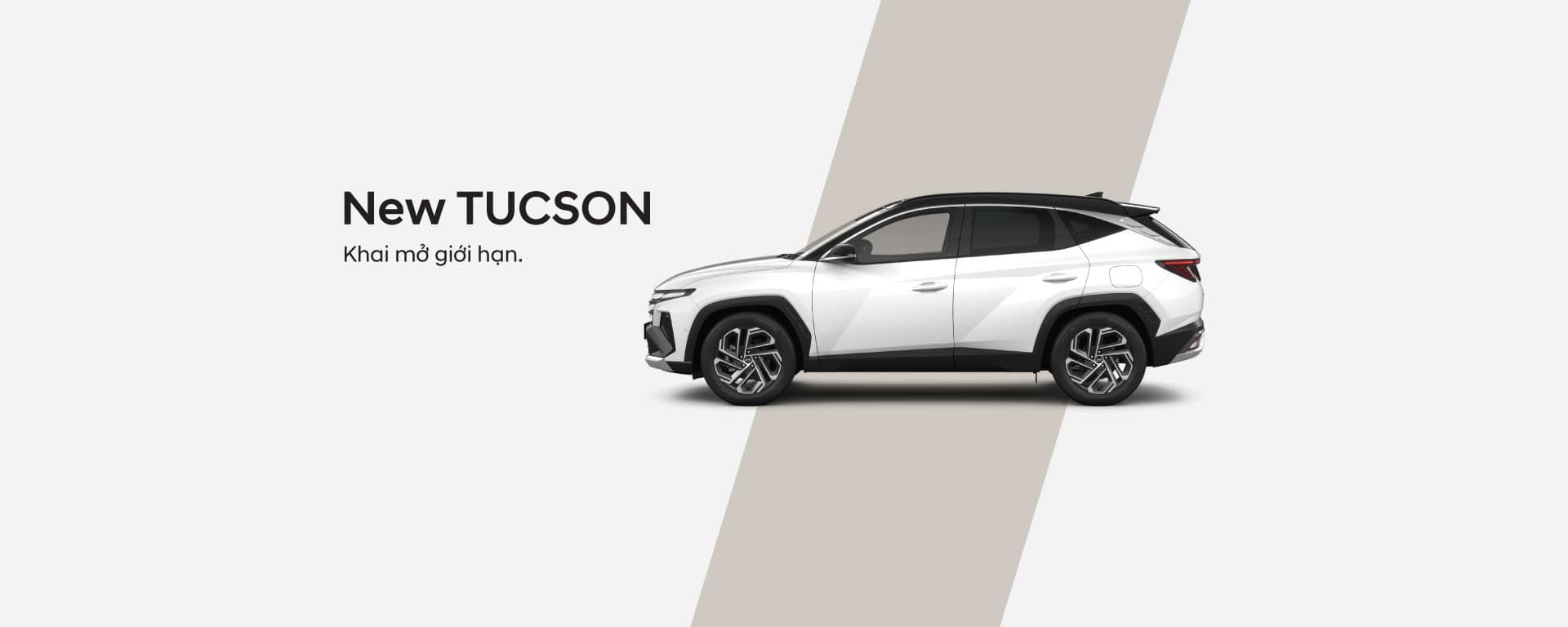 hyundai tucson đắk lắk